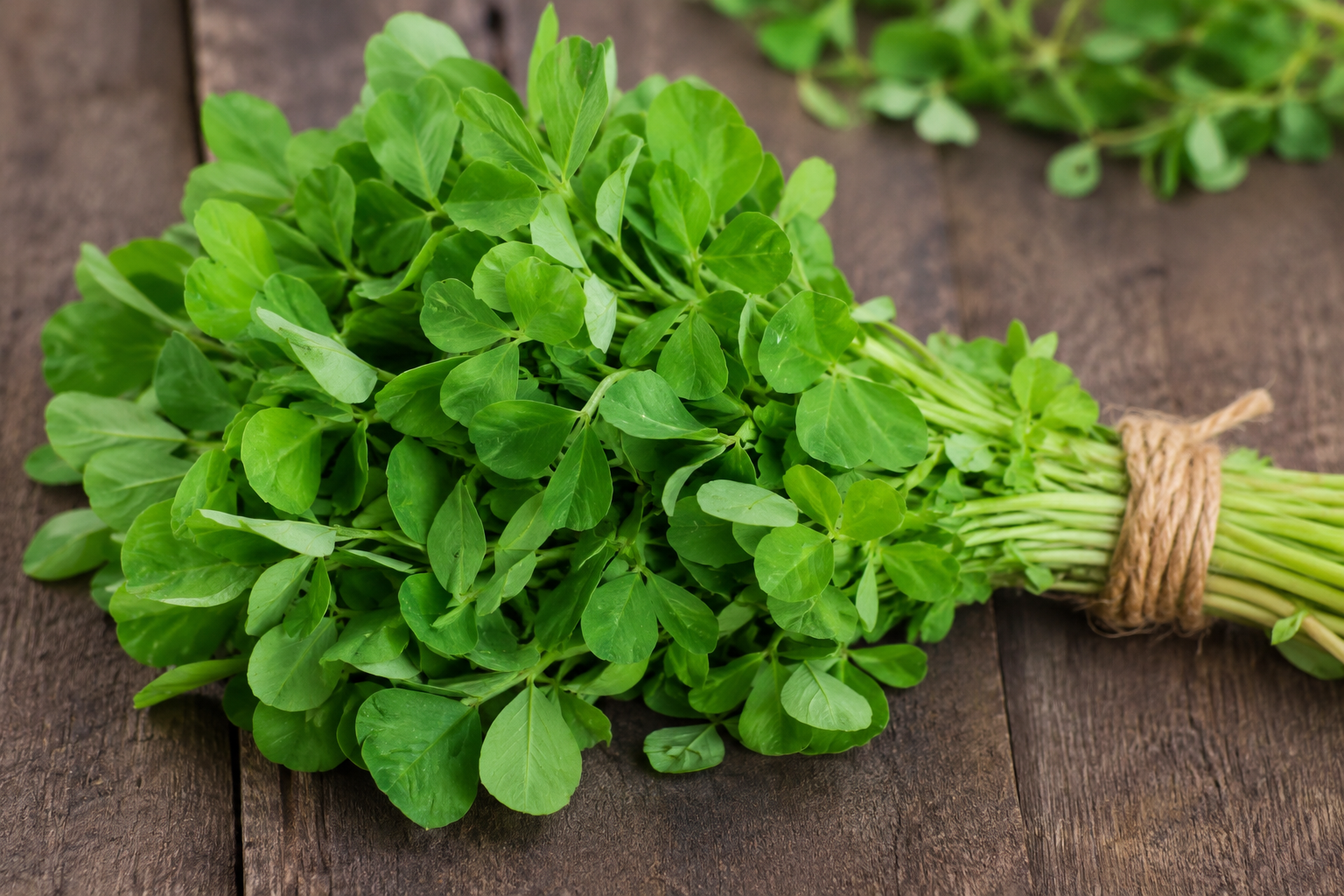 Methi