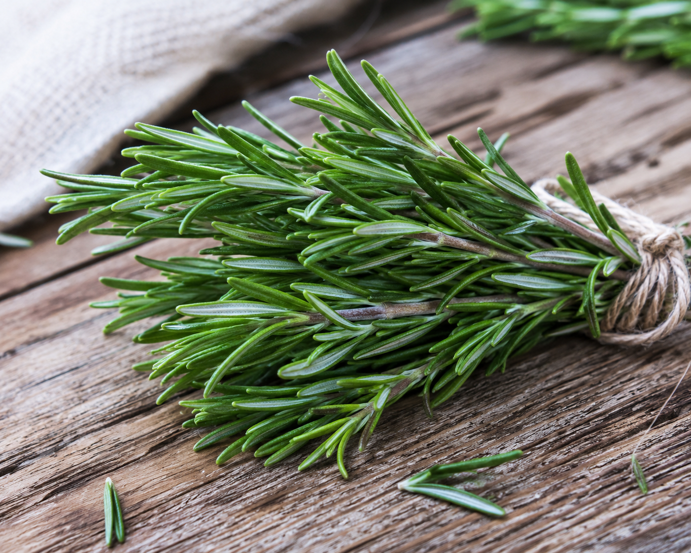Rosemary